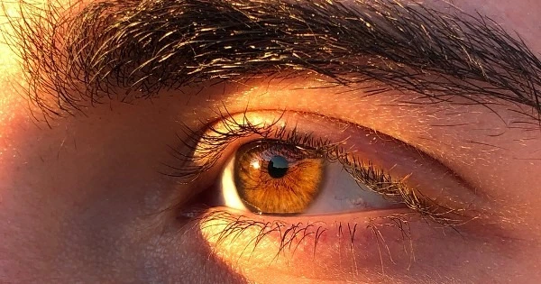 Protege tus ojos de los rayos UV