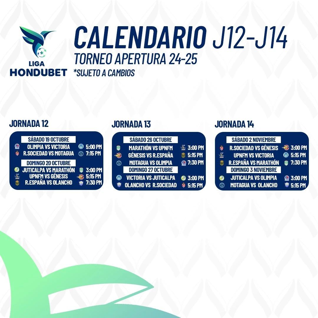 Torneo Apertura 2024-2025